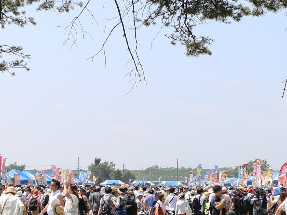 2019年の様子