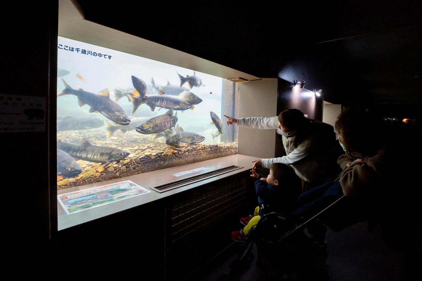 地元民がおすすめ！サクッと楽しめる日帰りコース