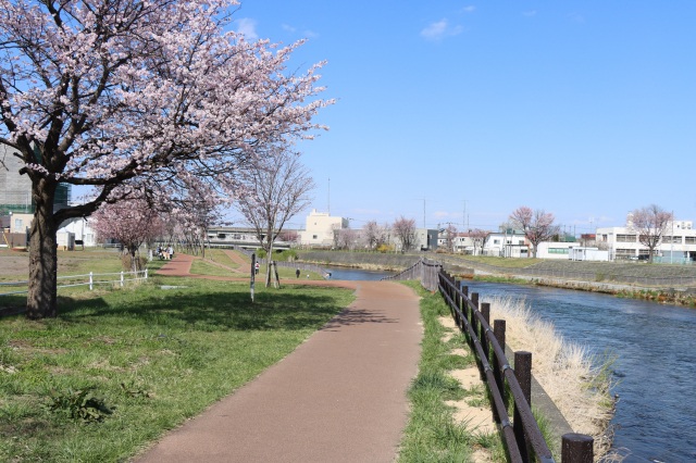千歳川流域