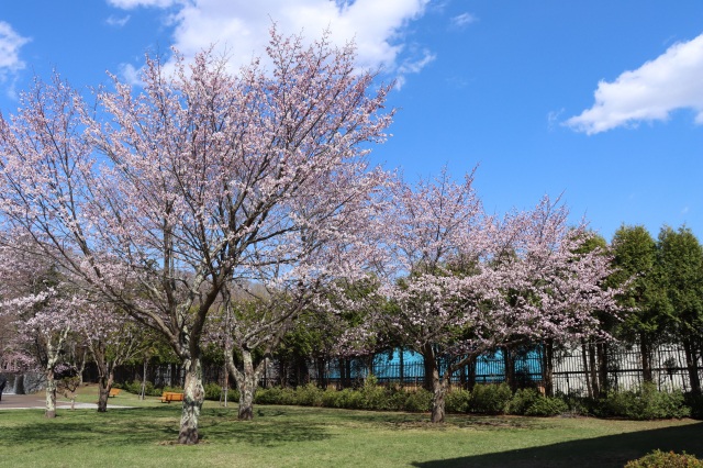 名水ふれあい公園