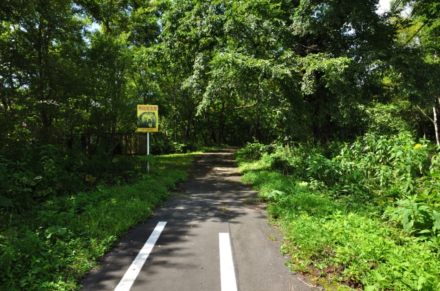 支笏湖公園自転車道