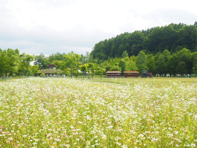 えこりん村の春の風景