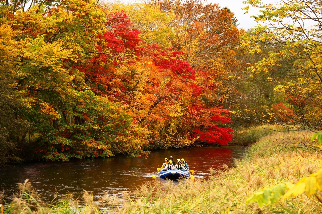 北海道ライオンアドベンチャー