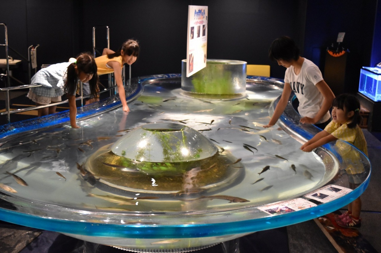 サケのふるさと千歳水族館