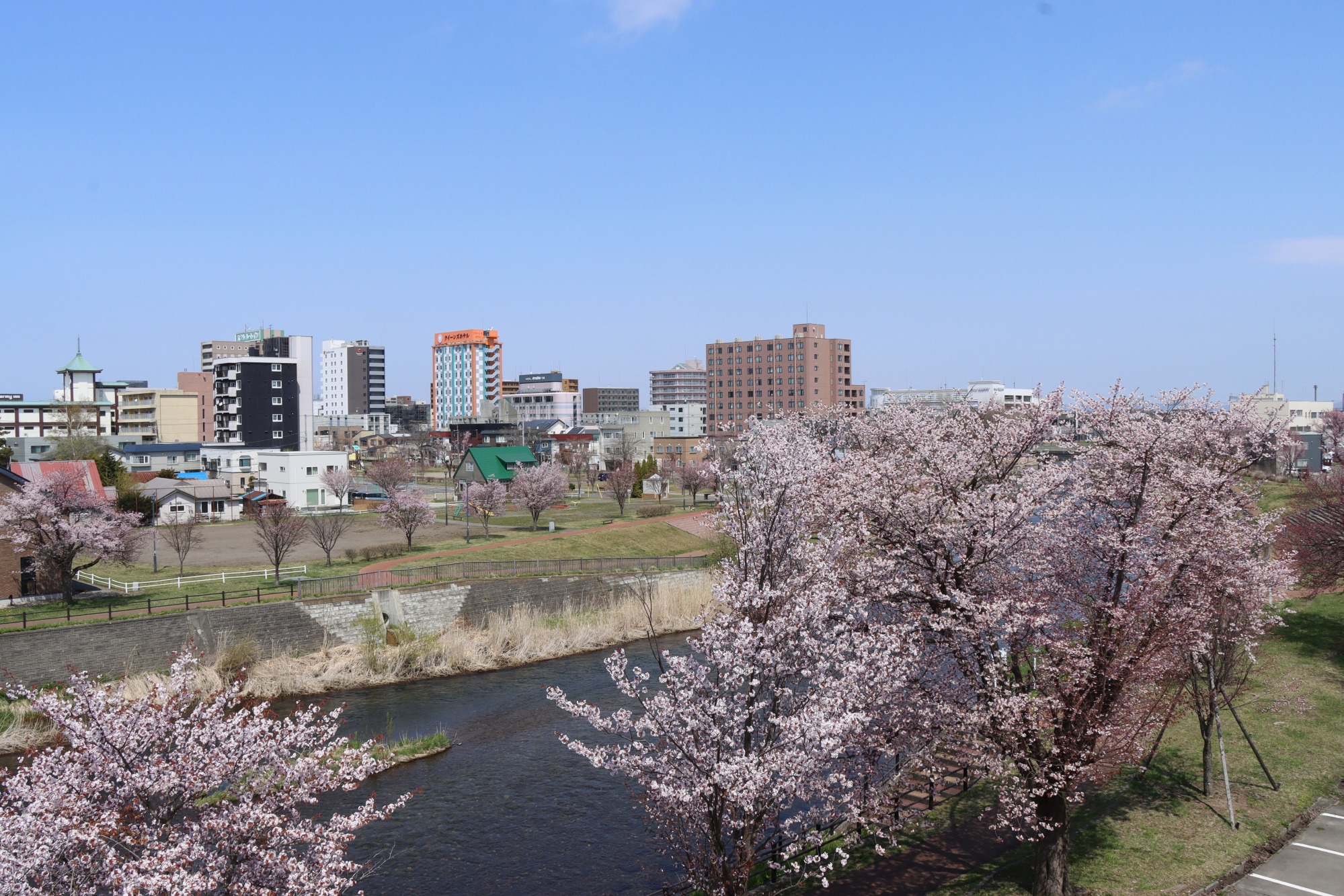 北海道にも春が到来！！