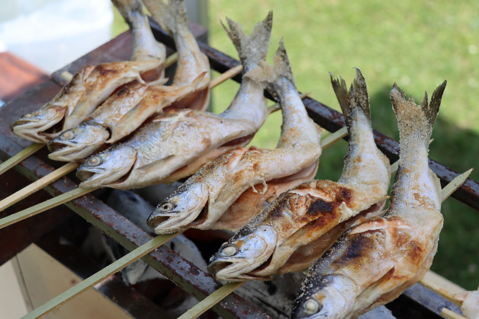 もうすぐ解禁！！支笏湖名物「支笏湖チップ」